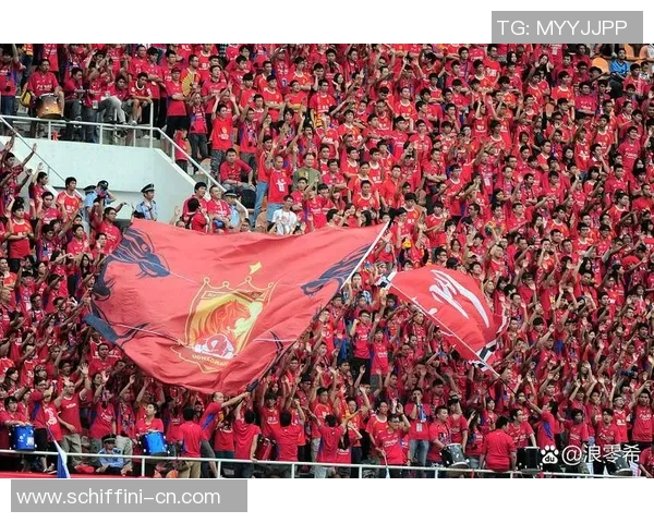 追随足球明星的激情与梦想，点燃心中热爱与奋斗的火焰