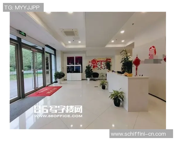 南京排球队在挑战赛中的力量展现与战术分析全景点评