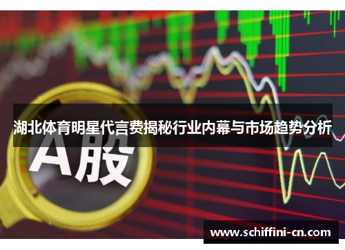 湖北体育明星代言费揭秘行业内幕与市场趋势分析