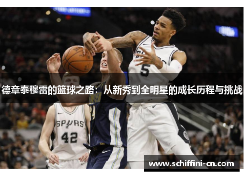 德章泰穆雷的篮球之路：从新秀到全明星的成长历程与挑战